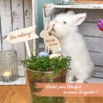 Ostereiersuche Holz – Bild 4