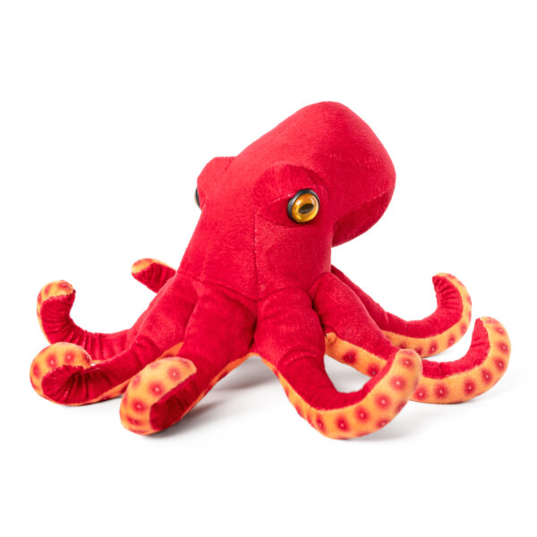 LIVING NATURE Oktopus