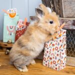 12 Geschenktüten mit Anhängern zu Ostern - PN3 Boho - Set 9 – Bild 5