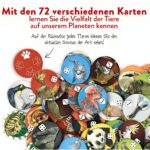 Safari, das Spiel der Tiere – Bild 5