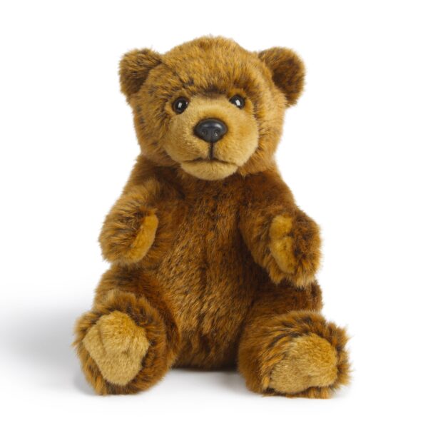 LIVING NATURE Braunbär