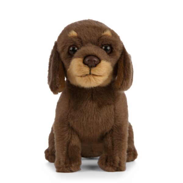 LIVING NATURE Dackel Welpe