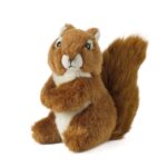 LIVING NATURE Eichhörnchen Jungtiere