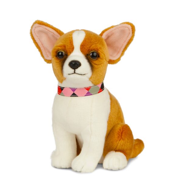 LIVING NATURE Chihuahua