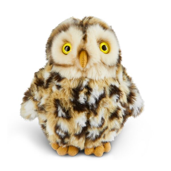 LIVING NATURE Steinkauz