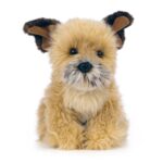 LIVING NATURE Border Terrier