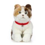 LIVING NATURE Schottische Faltohrkatze