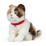 LIVING NATURE Schottische Faltohrkatze – Bild 2