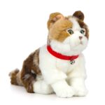 LIVING NATURE Schottische Faltohrkatze – Bild 3