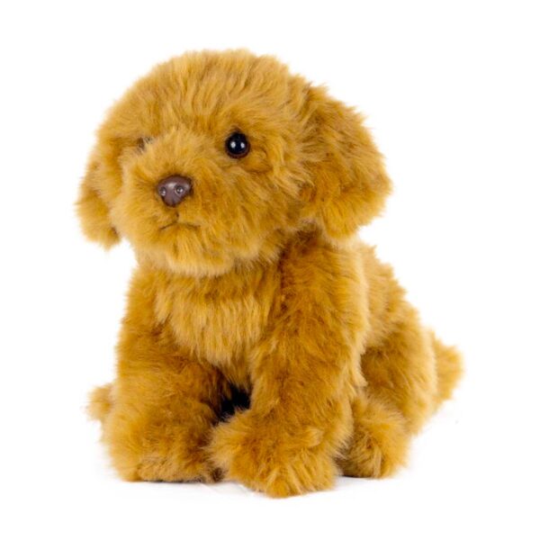 LIVING NATURE Cavapoo