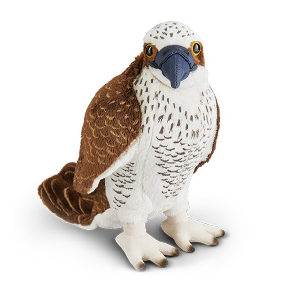 LIVING NATURE Fischadler