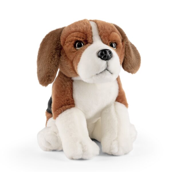 LIVING NATURE Beagle