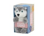 LIVING NATURE Babies Husky – Bild 3