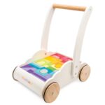 Lauflernwagen mit Klötzen in Regenbogenfarben