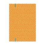 Schulmappe 2er Set DIN A4 - Zirkus (VE 4) – Bild 5