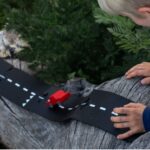 Back and Forth car - Rot – Bild 4