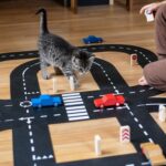 King of the Road Edition inklusive 2 Autos – Bild 4