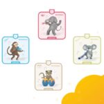 Wildcard Swiss Edition (3 Stück mit je 120 Minuten) – Bild 3