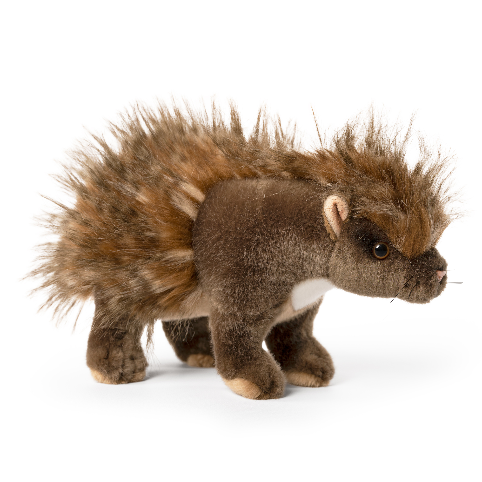 LIVING NATURE Stachelschwein – Bild 2