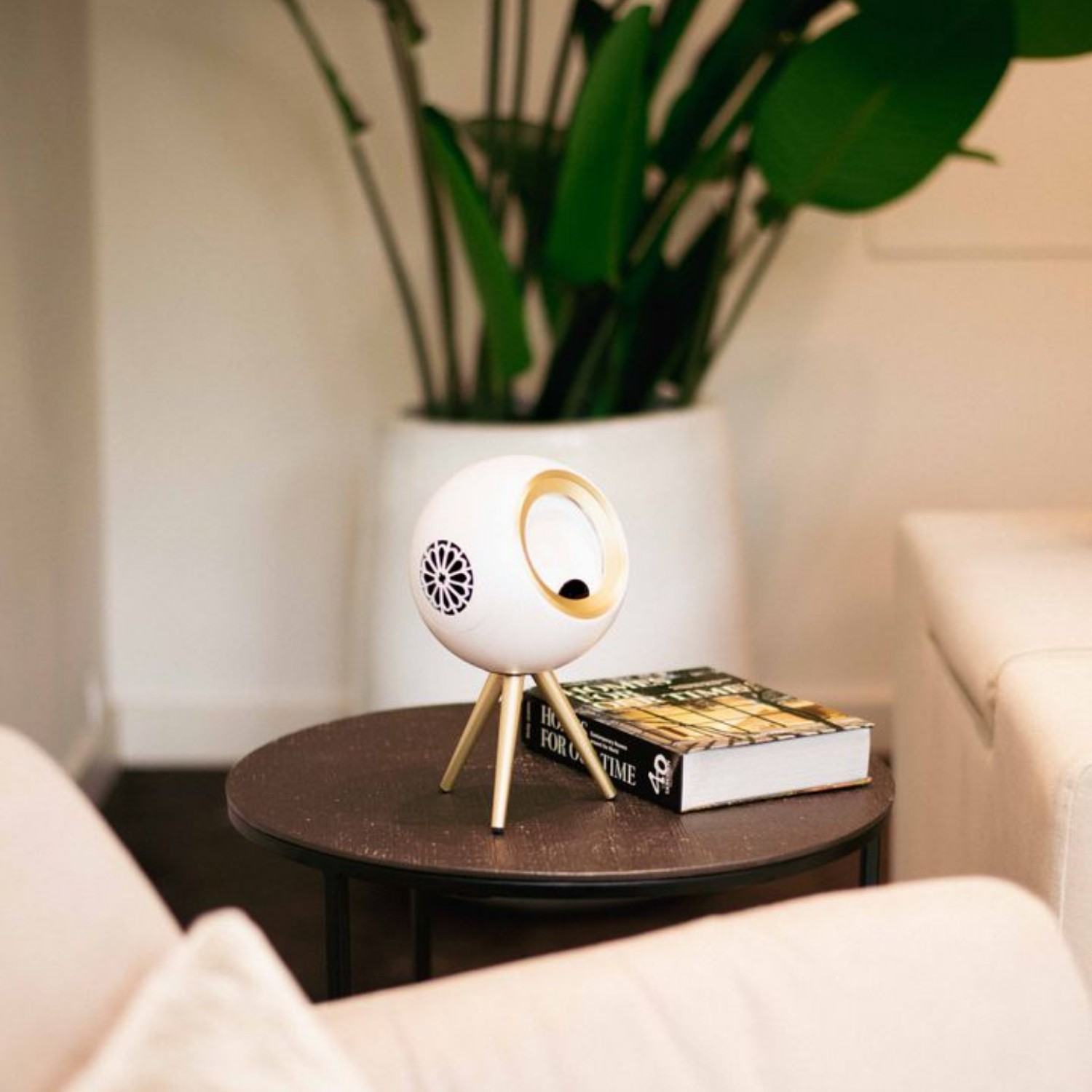 Spirok Star weiss – Bild 4