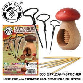 Kastanienset Pilz & Bohrer